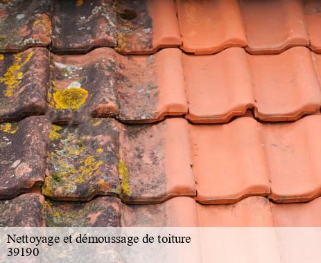 nettoyage-et-demoussage-de-toiture