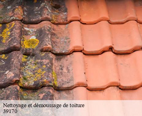 nettoyage-et-demoussage-de-toiture